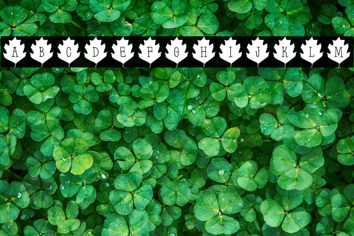 Leaf Letters  Regular Demo Example 2