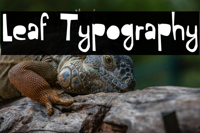 Leaf Typography Example 1