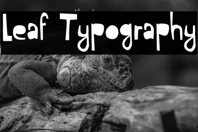 Leaf Typography Example 1