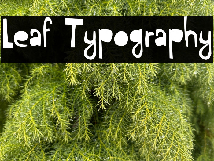 Leaf Typography Example 2