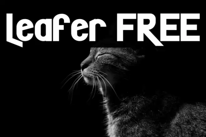 Leafer FREE Font examples