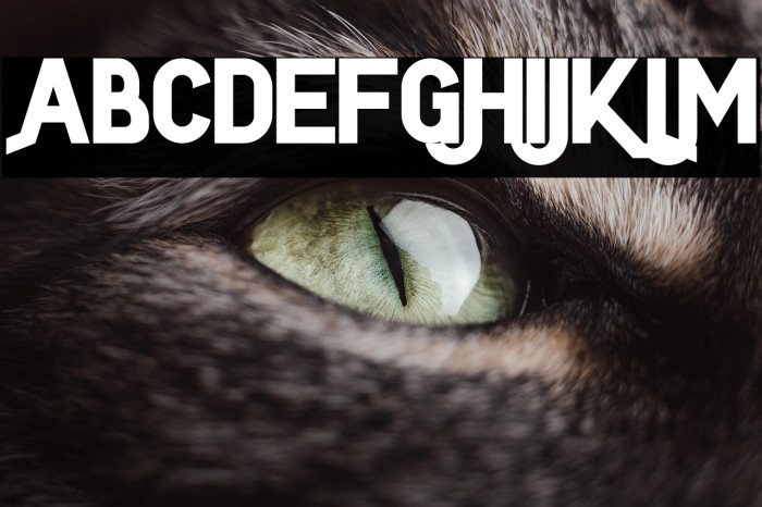 LeaferFREE Example 2