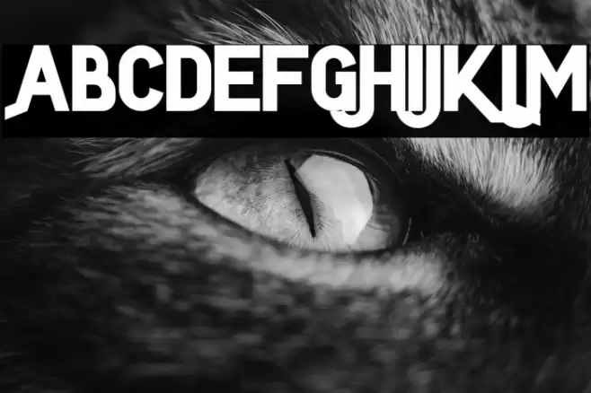 LeaferFREE Font examples