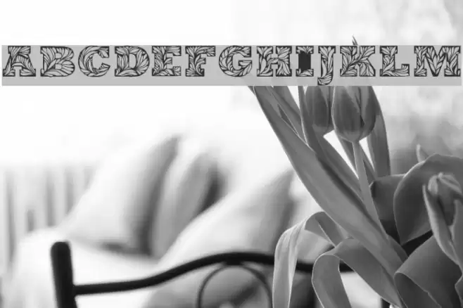 Leaffy Demo Font examples