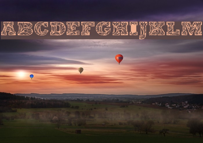 Leaffy Demo Example 2