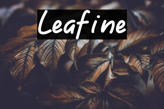 Leafine Example 1