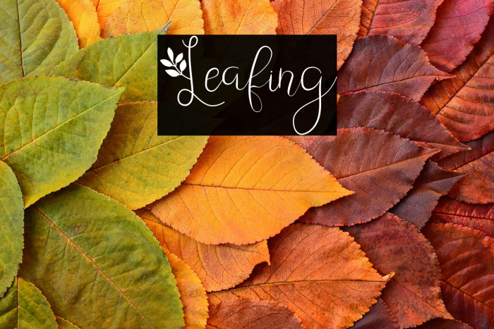 Leafing Example 3