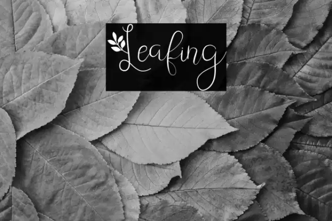 Leafing Font examples