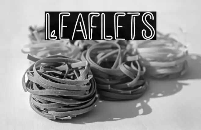 Leaflets Font examples