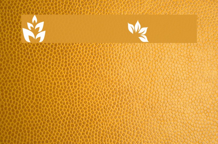 Leafs Font examples