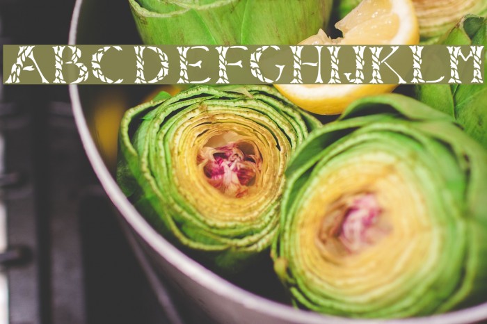 LeafyStencil Example 1