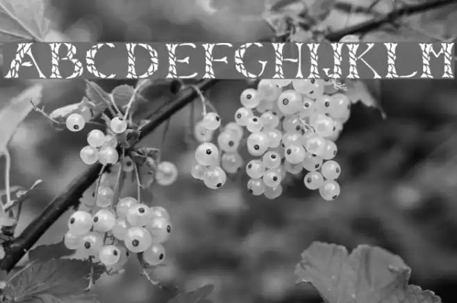 LeafyStencil Font examples