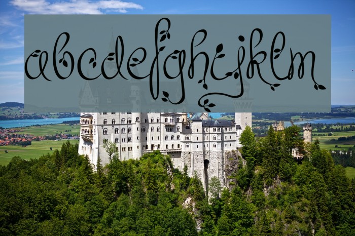 Leafyction Demo Example 2