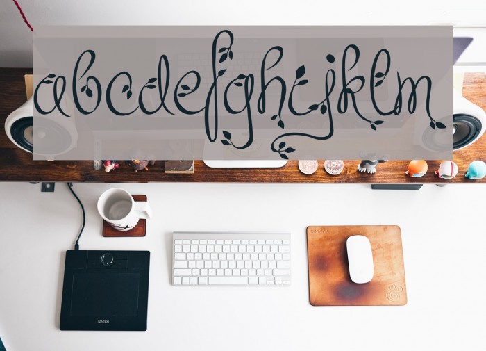 Leafyction Demo Example 3