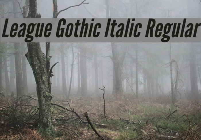 League Gothic Italic Regular Font examples