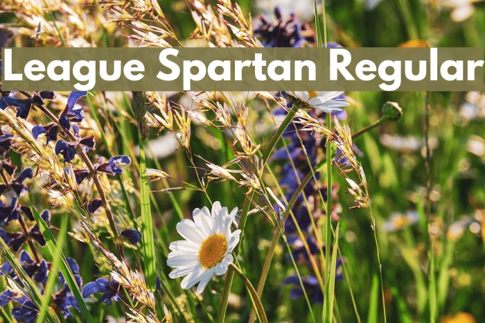 League Spartan Regular Font examples