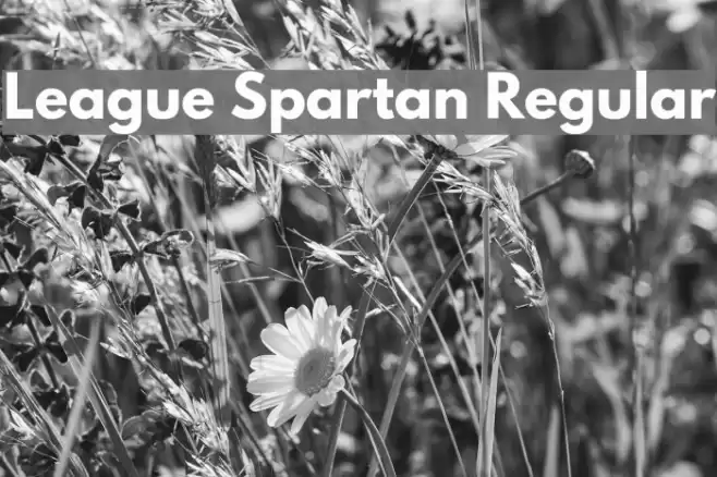 League Spartan Regular Font examples