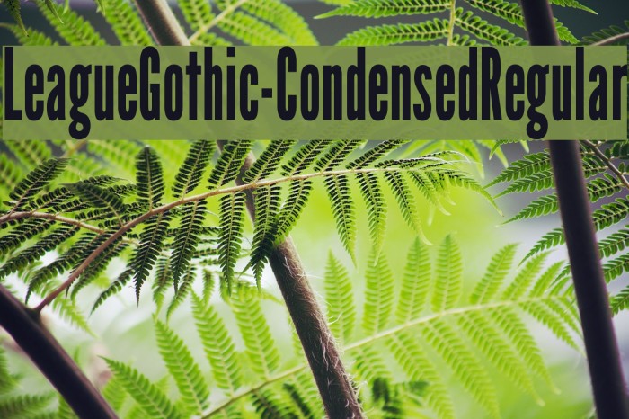LeagueGothic-CondensedRegular Font examples