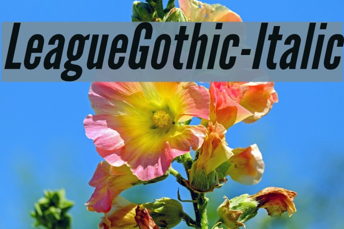LeagueGothic-Italic Font examples