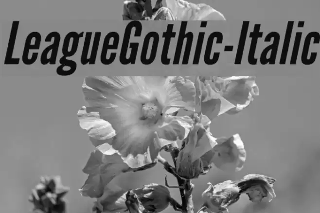 LeagueGothic-Italic Font examples