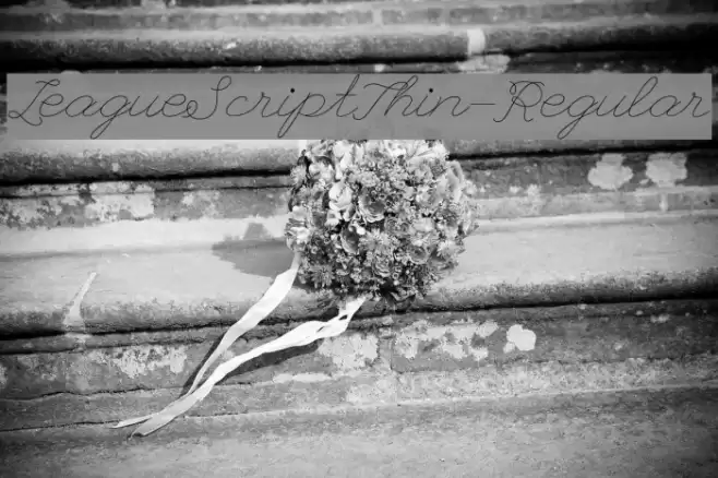 LeagueScriptThin-Regular Font examples