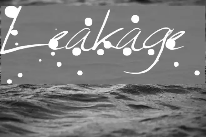 Leakage Example 3