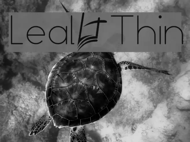 Leal Thin Example 2