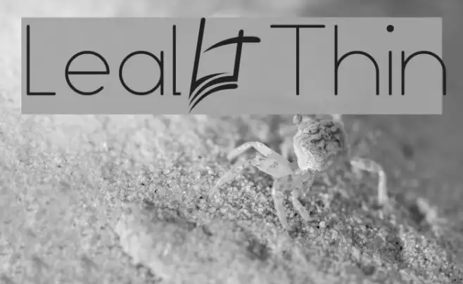 Leal Thin Example 3