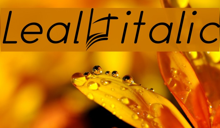 Leal italic Font examples