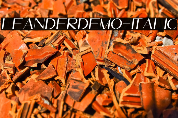 LeanderDemo-Italic Example 2