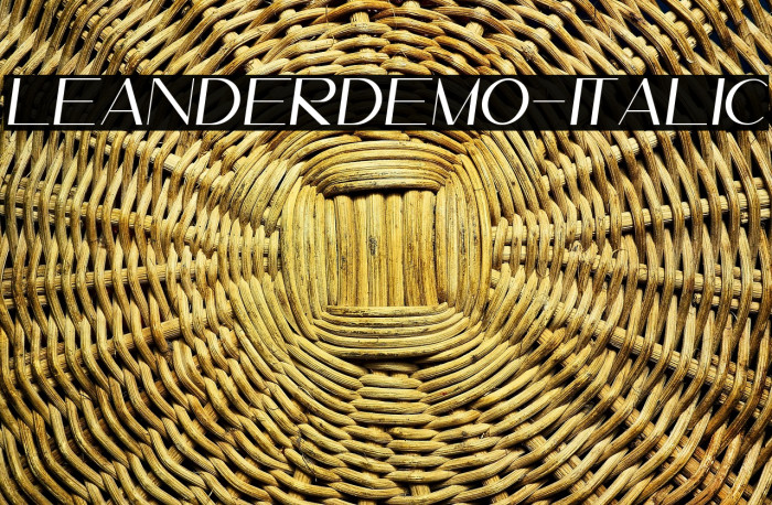 LeanderDemo-Italic Example 3