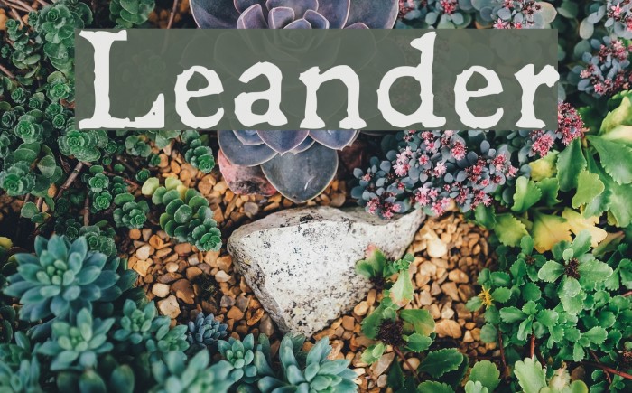 Leander Font examples