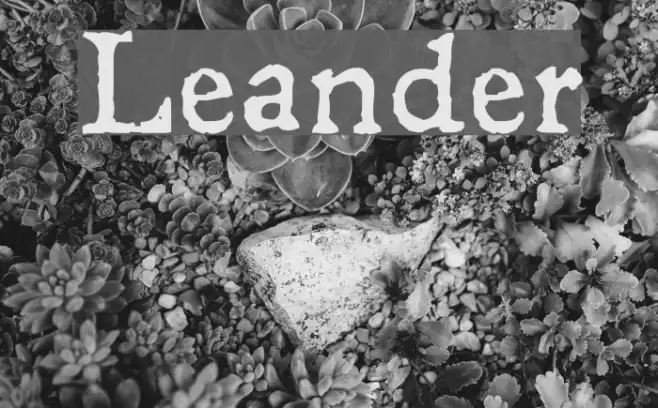 Leander Example 1