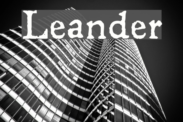 Leander Font examples