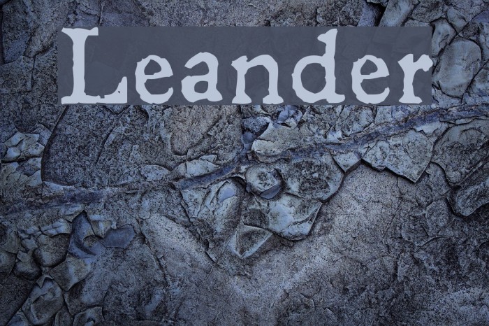 Leander Font examples