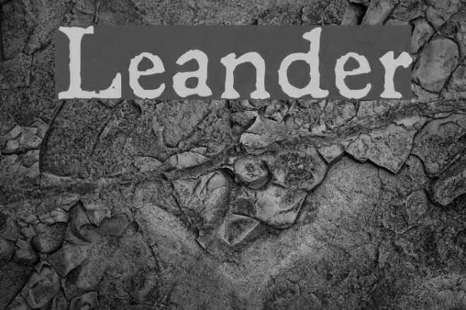 Leander Example 3