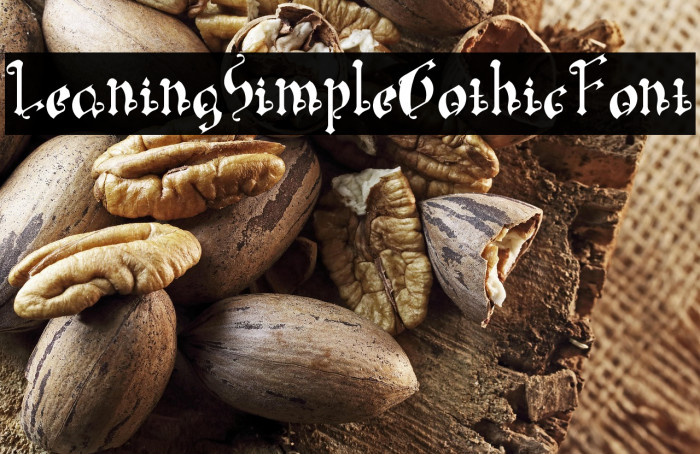 LeaningSimpleGothicFont Example 2