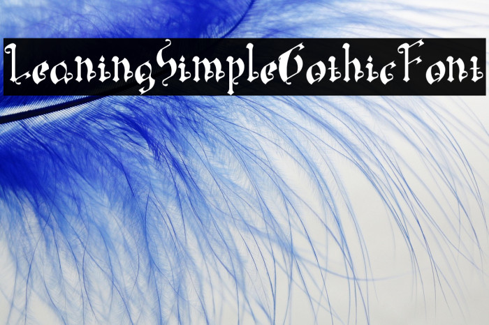 LeaningSimpleGothicFont Example 3