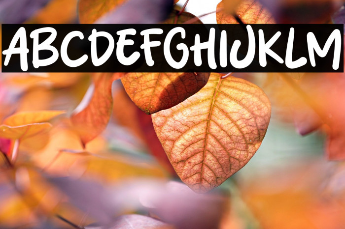 Learn Thing Example 2