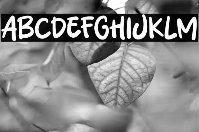 Learn Thing Font examples