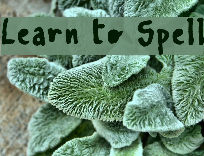 Learn To Spell Example 1