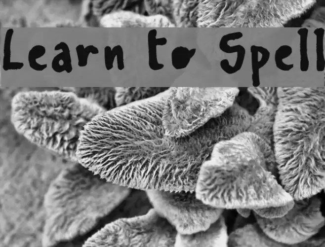 Learn To Spell Font examples