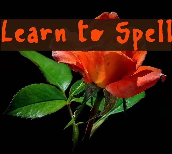 Learn To Spell Example 3