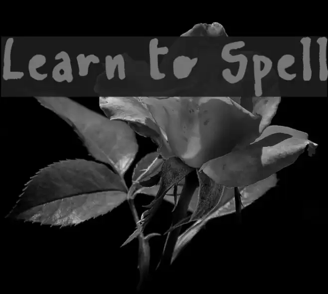 Learn To Spell Font examples