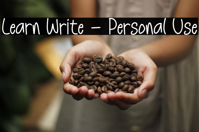 Learn Write - Personal Use フォント examples