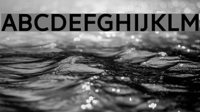 LearnShareColaborate-Bold Font examples