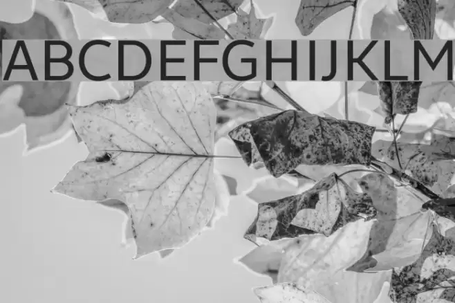 LearnShareColaborate Font examples