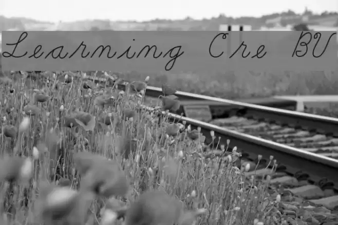 Learning Curve BV Fonte examples