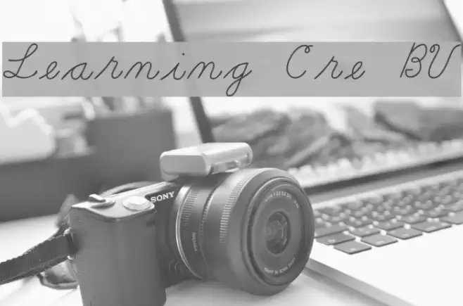 Learning Curve BV Fonte examples