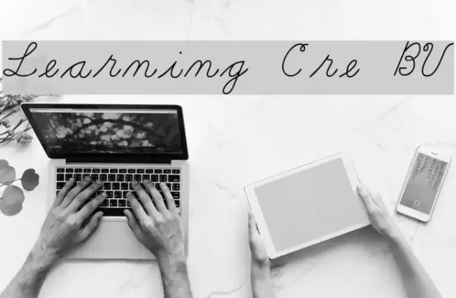 Learning Curve BV Fonte examples